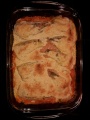 Fenchelgratin20001.jpg