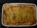 Kartoffel Lauch Gratin0001.JPG