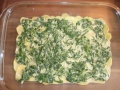 Kartoffelauflauf 0003.JPG